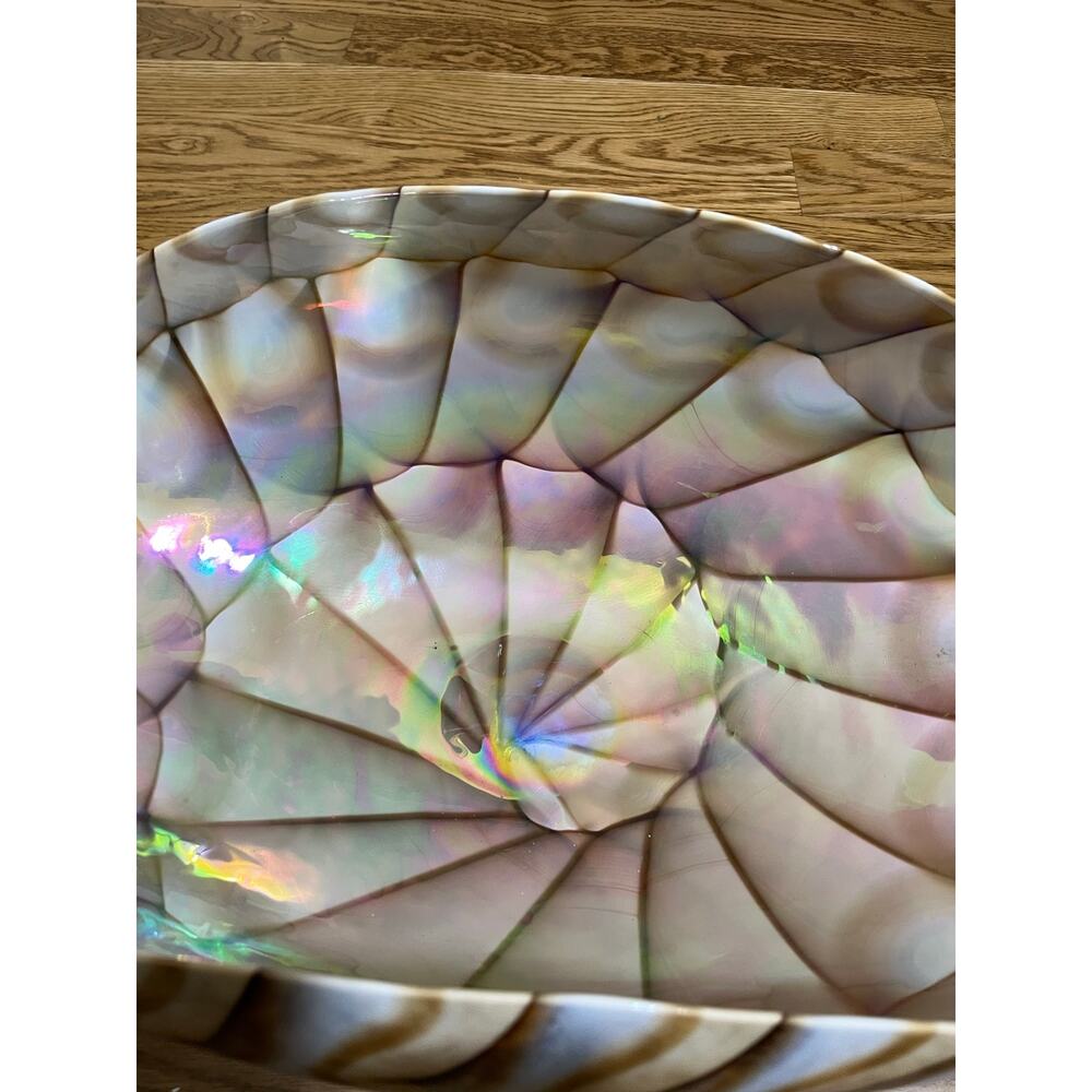 Italy Murano large glass sea shell Bowl Brown - Picture 2 of 3